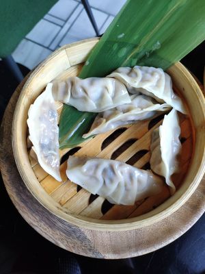 Gyozas at Wild Food in Granada