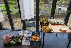 free produce at Groenten Zonder Grenzen - GZG in Rotterdam