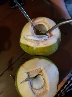 Coconuts! at NumNgern in Khao Sok