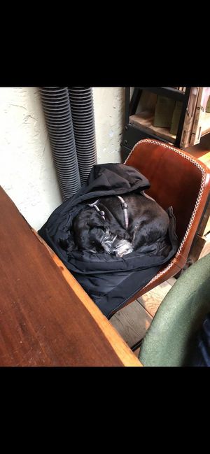 Er war definitiv mit ihm Robuust 🥰  at Robuust Foodies & Goodies in Den Helder