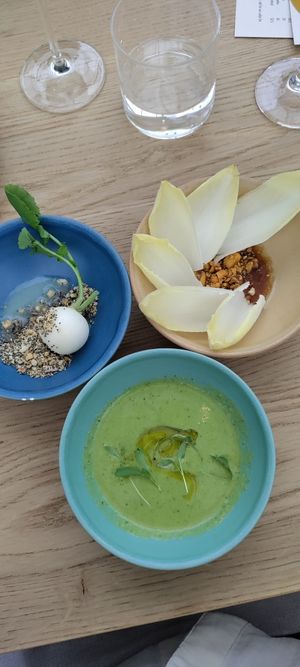 radish (the non-vegan version had a creamy sauce). endive with a soy sauce (was really good even if it was completely different than the non-vegan version, lovely green gazpacho! at De Kas in Amsterdam