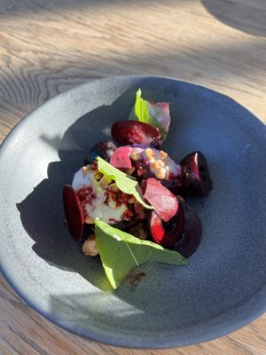   at De Kas in Amsterdam