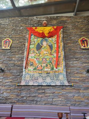 Sun room dinning at Os Tibetanos in Lisbon