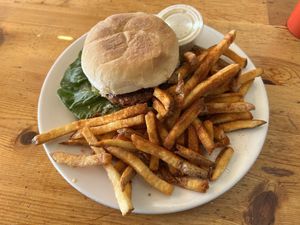 Tony Hawk with spicy fries    at Vertical Diner in Salt Lake City