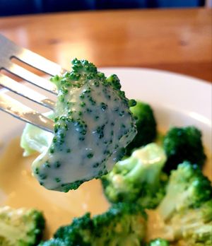  at Vertical Diner in Salt Lake City