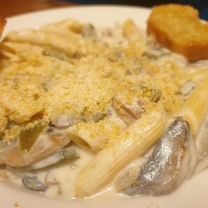 stroganoff at Vertical Diner in Salt Lake City