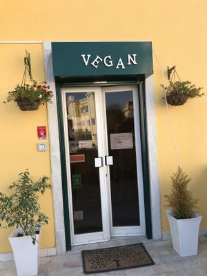 Paradise at Bosque in Sintra