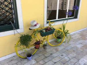 Bike at the door at Bosque in Sintra