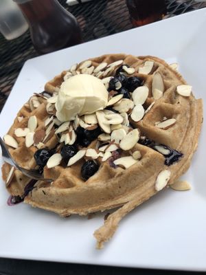 Blueberry and Almond waffle, vegan syrup in the back at The Buzz Coffee & Cafe in Burnsville