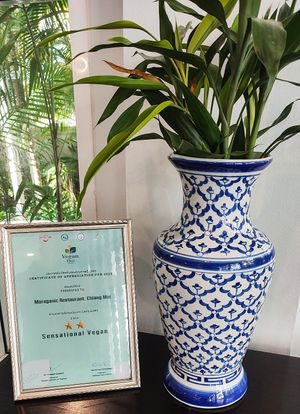 Awards at Moreganic Restaurant at Away Chiang Mai Thapae Vegan Retreat in Chiang Mai