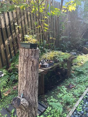  at Kitotoki in Kamakura