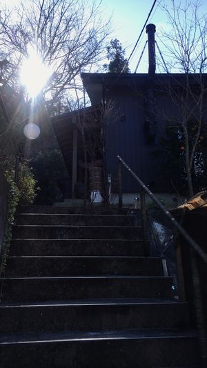 Found it! at Kitotoki in Kamakura