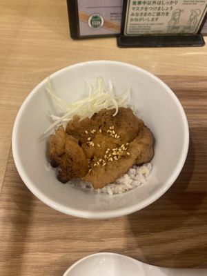 Soy meat and rice   at T's Tantan - JR Ueno in Tokyo