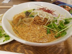 golden tatan. very spicy at T's Tantan - JR Ueno in Tokyo