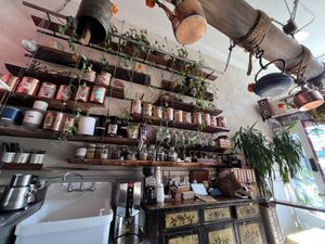   at Beloved Natural Cafe & Organic Juicery in San Francisco