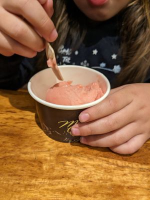  at Mrs Ferg Gelateria - Beach St in Queenstown