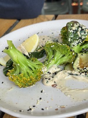   at Yonder in Queenstown