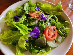 Garden Fresh 
Salad Greens from our own organic farm.  at Artcafe in El Nido