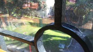 View from the cafe window at Bestie Cafe in Auckland