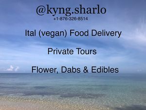  at Ini Ital Rastarant in Negril