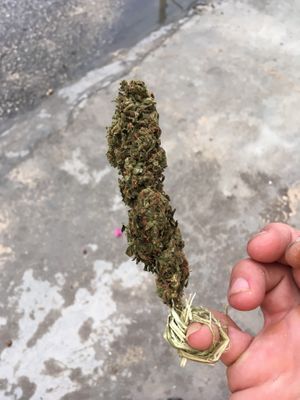 Sacrament ring at Ini Ital Rastarant in Negril