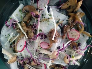 Carpaccio de daikon, shitake y enoki at Pascuala Cuina Vegana in Badalona
