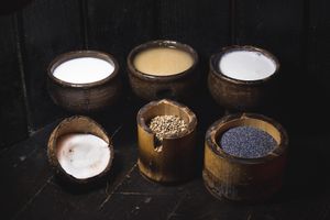 plant based milk:
-coconut
-hemp
-poppyseed at Agharti in Odessa