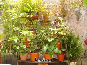 Outside eating area at Nakite in Porto