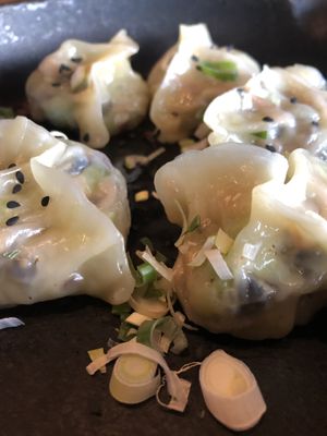 Dumplings from Eightgrains at Little High Eatery in Christchurch