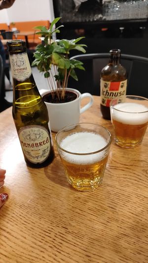  at Vegazzi Specialty Pizzeria in Budapest