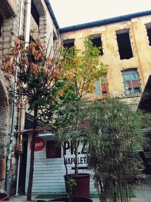 courtyard at Vegazzi Specialty Pizzeria in Budapest