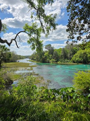 Rainbow river at Ocala's Downtown Diner in Ocala