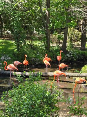  at Ocala's Downtown Diner in Ocala