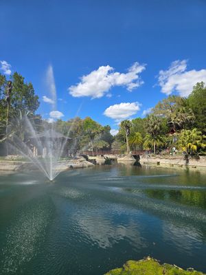  at Ocala's Downtown Diner in Ocala