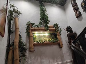 Aquarium at Suribachi in Porto