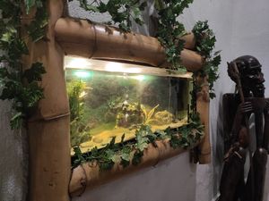 Aquarium at Suribachi in Porto