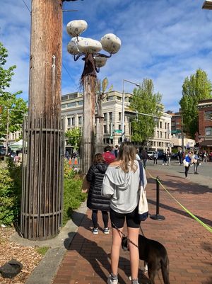 Waiting in line to enter  at Ballard Farmers Market in Seattle