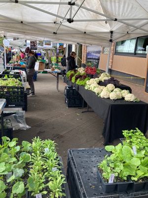 Vendor at Ballard Farmers Market in Seattle