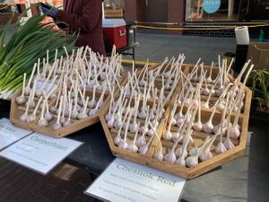 Garlic Vendor at Ballard Farmers Market in Seattle