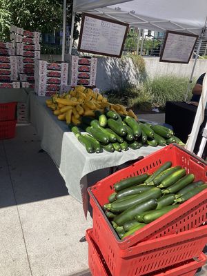 Produce at Capitol Hill Sunday Farmers Market in Seattle