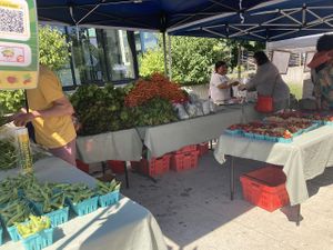 Produce stand at Capitol Hill Sunday Farmers Market in Seattle