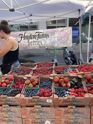 Fruit vendor at Capitol Hill Sunday Farmers Market in Seattle