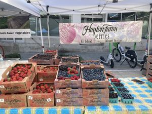 Fruit vendor at Capitol Hill Sunday Farmers Market in Seattle