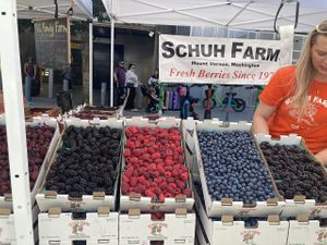 Strawberries, blackberries, blueberries for sale at Capitol Hill Sunday Farmers Market in Seattle