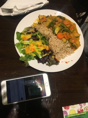 Coconut curry at Himalayan Kabob and Curry House in Cotati