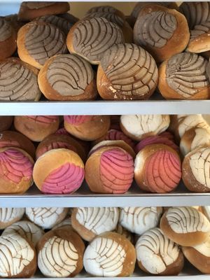 Vegan conchas at Soy Concha Bakery in Santa Ana