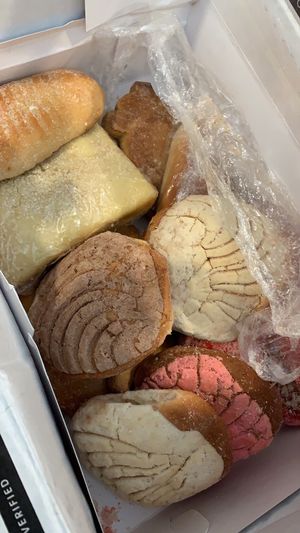 Pan dulce 😍 at Soy Concha Bakery in Santa Ana