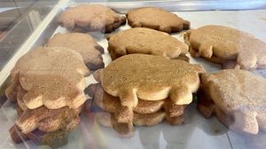 Puerquitos at Soy Concha Bakery in Santa Ana