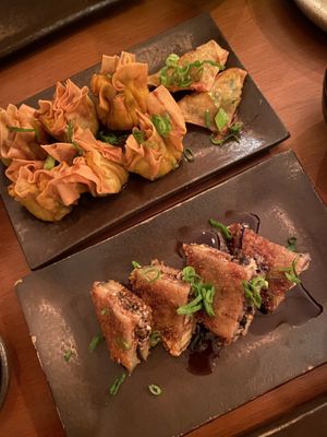 . at Sushimar Vegano in Sao Paulo