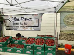 Strawberry vendor  at Madrona Farmers Market in Seattle
